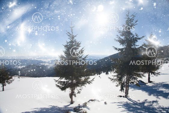 Winter landscape in the mountains