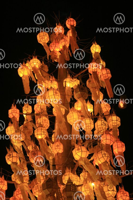 Lantern tree