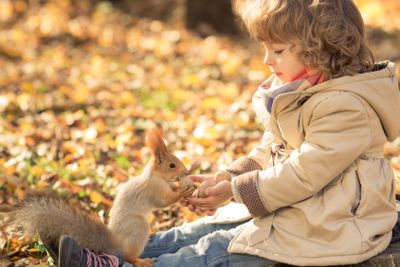 Child feeds a little squirrel