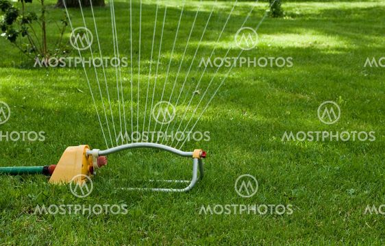 lawn sprinkler