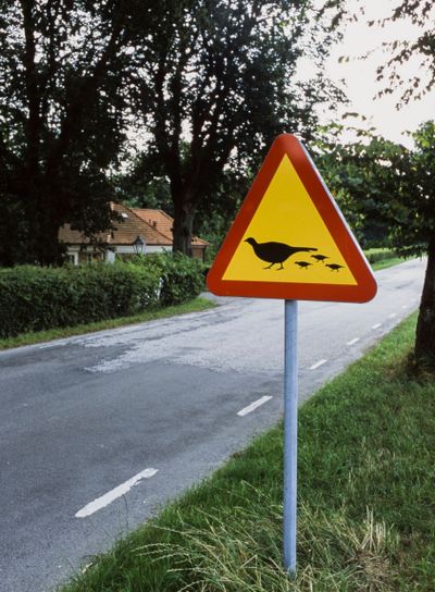 Vägskylt. Varning för fågel, Skåne, Sverige.