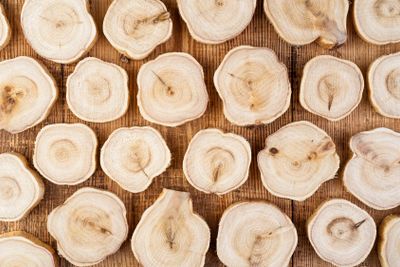 Texture of cross section juniper wood. Pattern of tree...