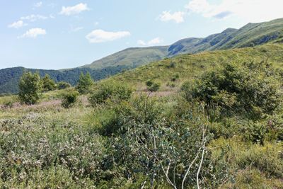 Summer landscape of Belasitsa Mountain, Bulgaria