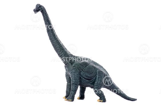 dinosaur on white background