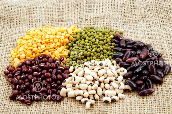 Various type of beans