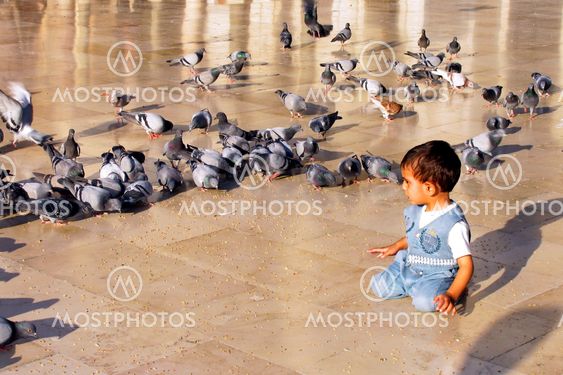 Feeding the pigeons