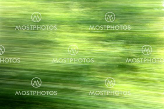 The natural blur passing trees on a fast train.