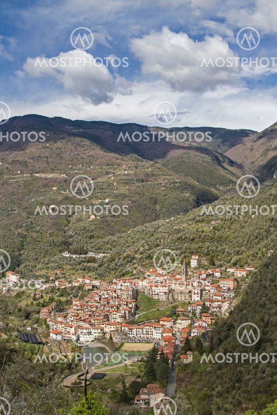 Pigna