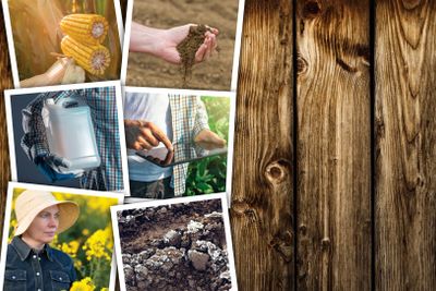 Agricultural occupation and activity collage photo