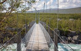 Wooden bridge and tree branches over river