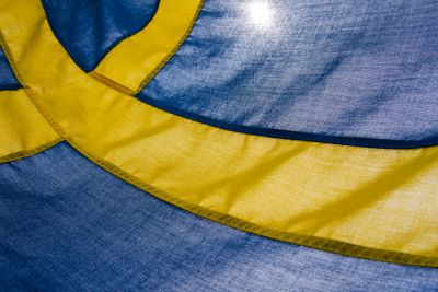 The Swedish flag, yellow and blue.