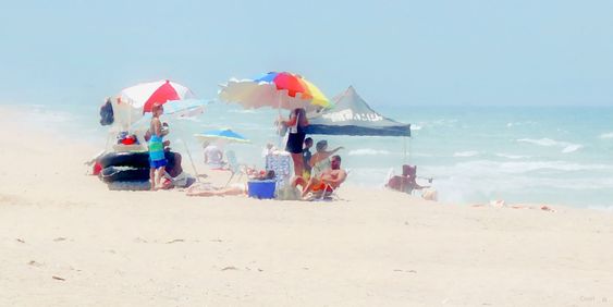 A Day At The Beach