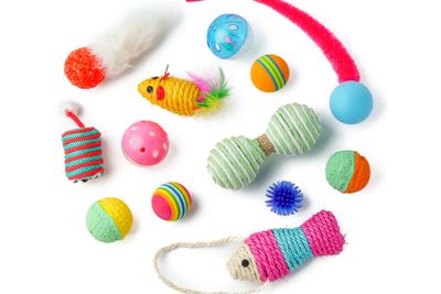 Cat toys isolated on white background studio shot