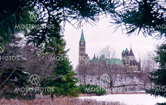 Evergreen Parliament