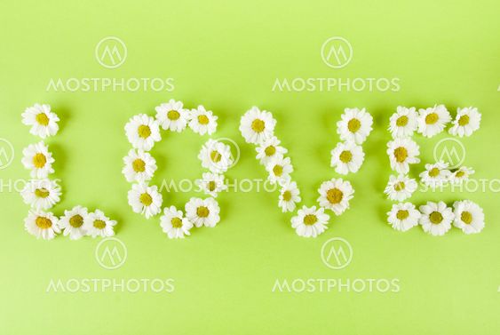daisy