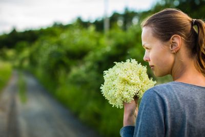 Young woman picking elderflower to make an infusion at home