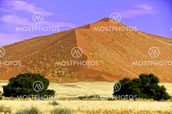 a vast dune at Sossusvlei namib naukluft park namibia africa
