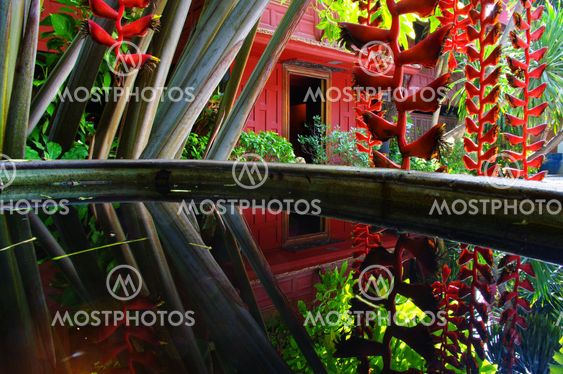 Thai garden harkinta