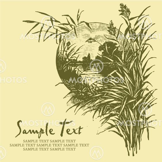 antique card engraving (vector)