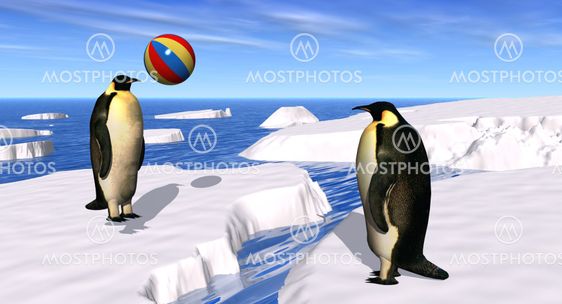 Penguins Playing