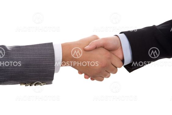 businesswoman handshake