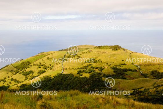 Pastrue landscape, Sao Jorge