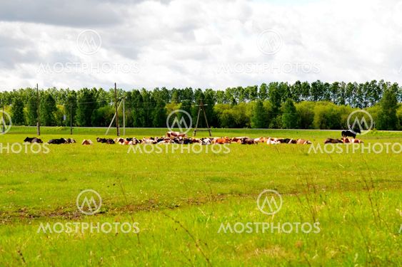 Beautiful nature Altaya