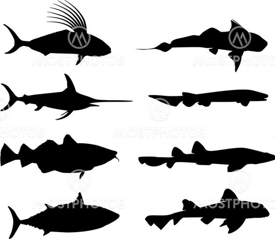 Large fish and marine life silhouettes