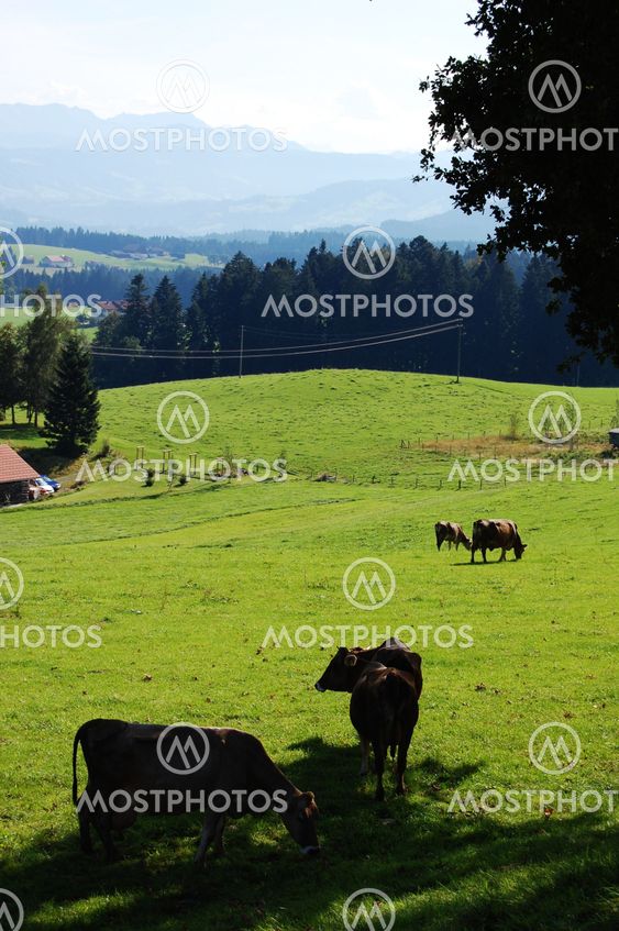 View Oberstdorf