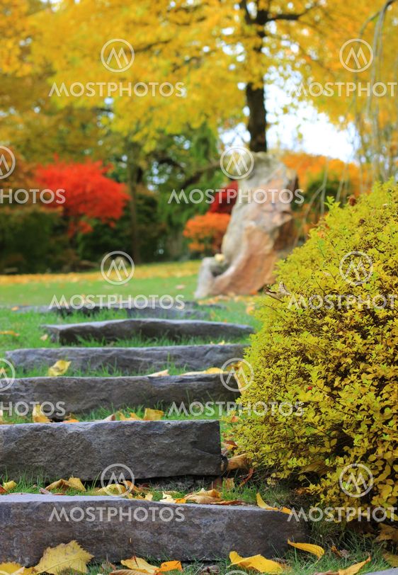 Stone stairs in a japanese garden
