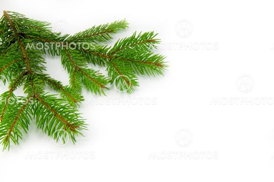Beautiful Christmas decorations