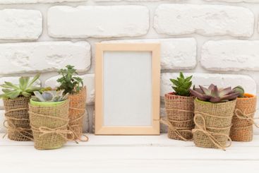 Potted succulents arranged in burlap with empty frame...