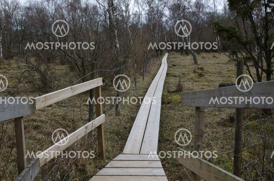 Wooden footpath in a nordic landscape