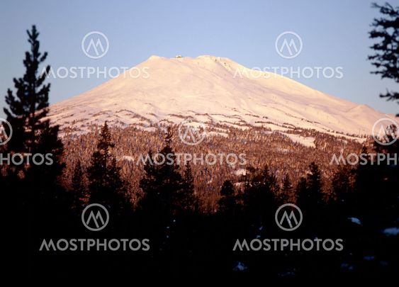 Stunning Snow Capped Peak with Evergreen Forest