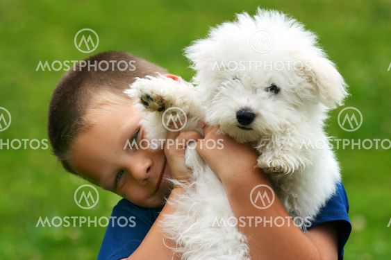 Boy and Puppy