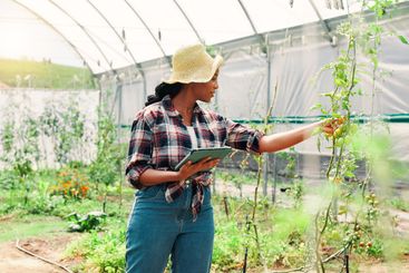 Farming, black woman and plants with tablet for...