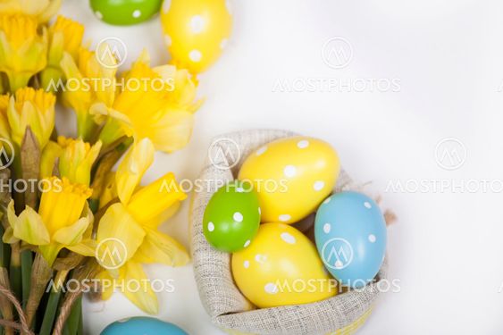 Easter backgound off painted eggs and yellow flowers