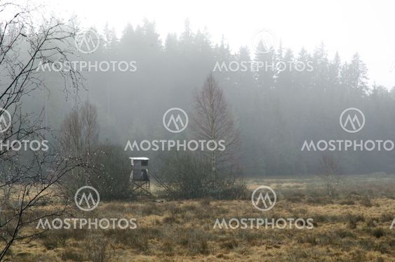 Jakttorn i morgondis