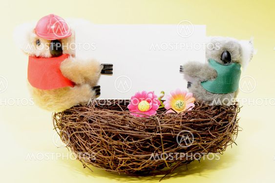 Nest with a Teddy Bear