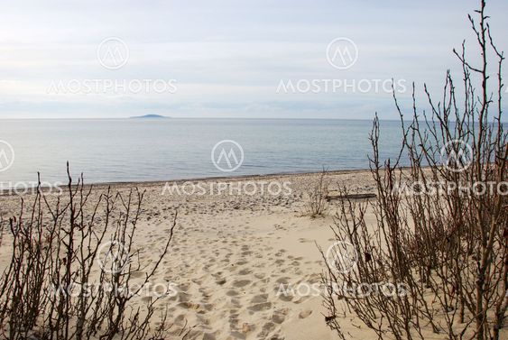 Seaside view at a sandy beach