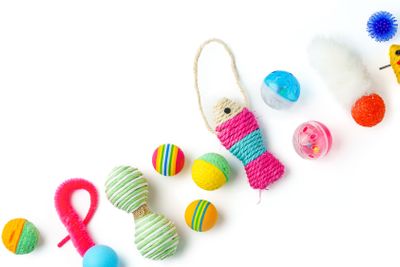 Cat toys isolated on white background studio shot