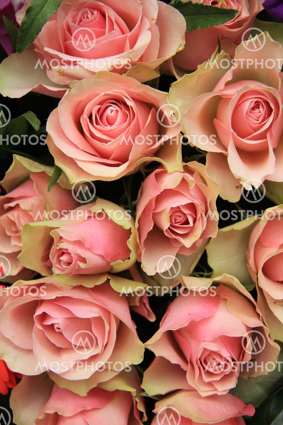 Bridal arrangement, pink flowers