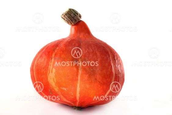 Pumpkin