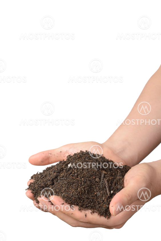 soil on hands