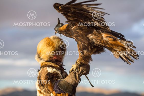 Young Kazakh Eagle Huntress (Berkutchi woman) with horse...