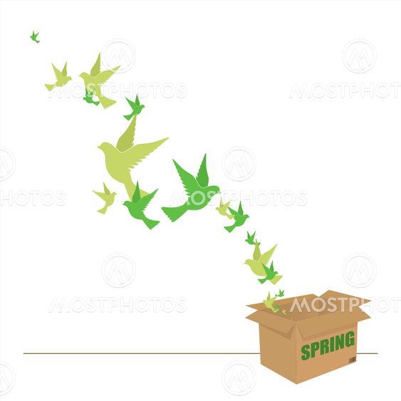 Abstract vector illustration of box and birds.