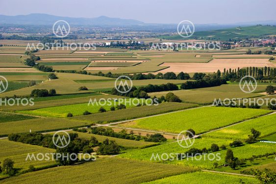 Agricultural landscape