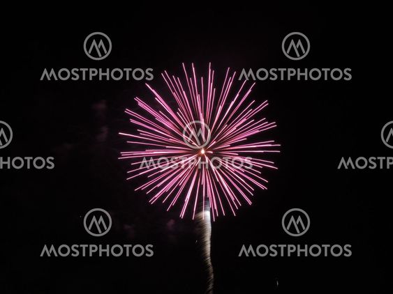 Fireworks - Purple