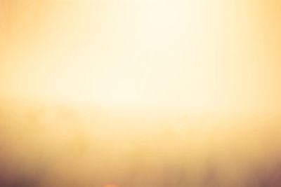 Natural spring  sunrise soft color light .