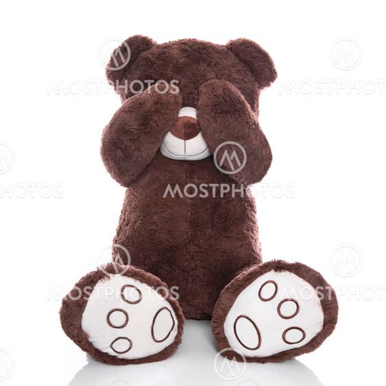 Lonely teddy bear covering eyes isolated on white background - sadness or problems concept